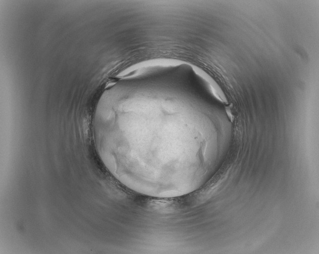 X0000115790139200912041520