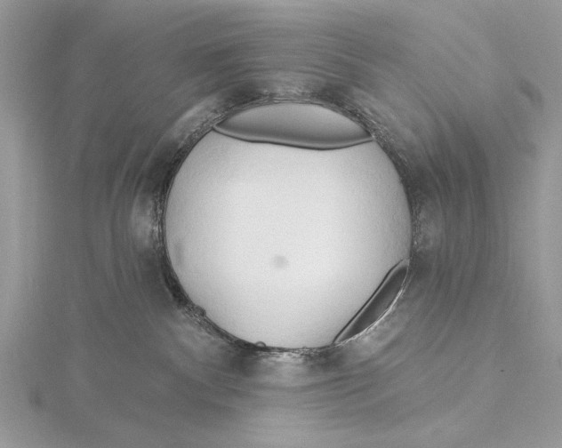 X0000115790140200912041520