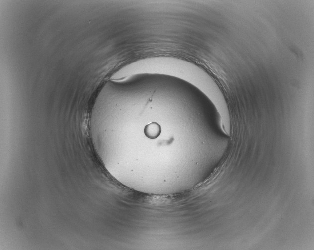 X0000115790141200912041520