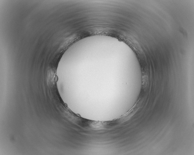 X0000115790142200912041520