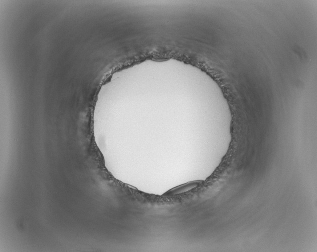 X0000115790144200912041520