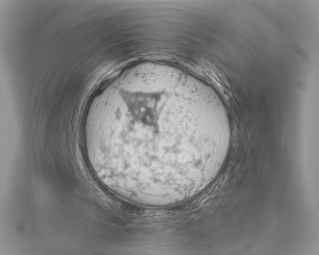 X0000115790145200912041519