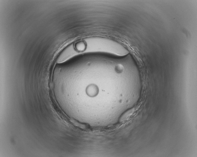 X0000115790146200912041519