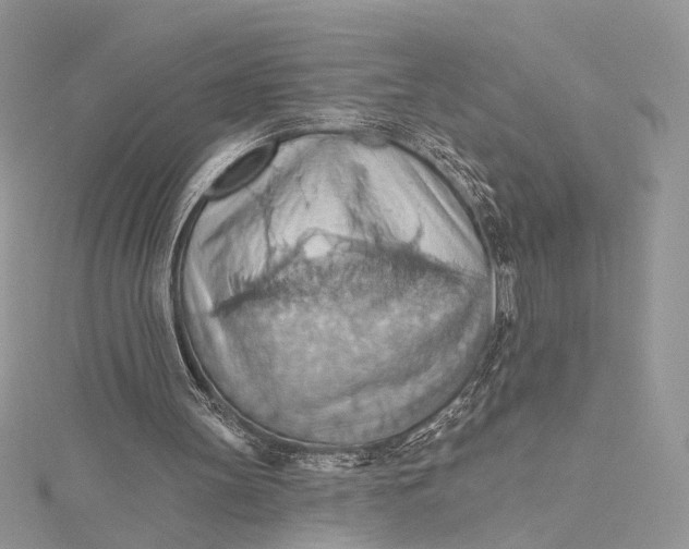 X0000115790147200912041519