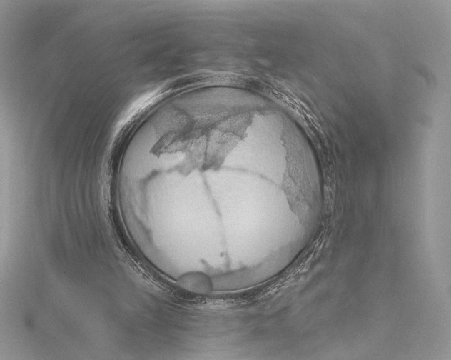 X0000115790149200912041519