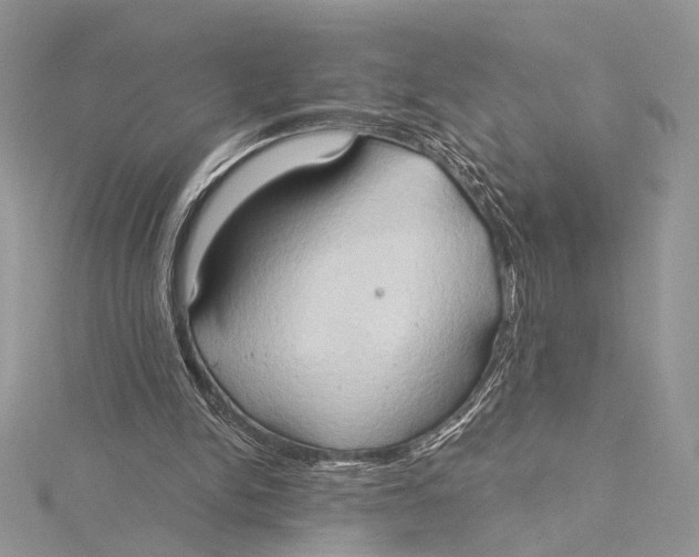 X0000115790150200912041519