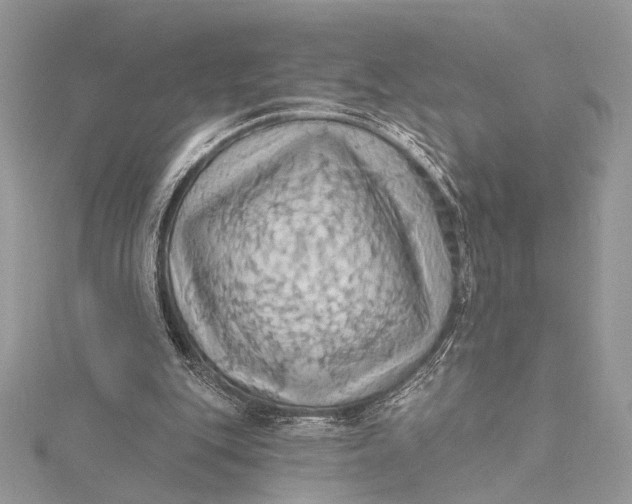 X0000115790151200912041519