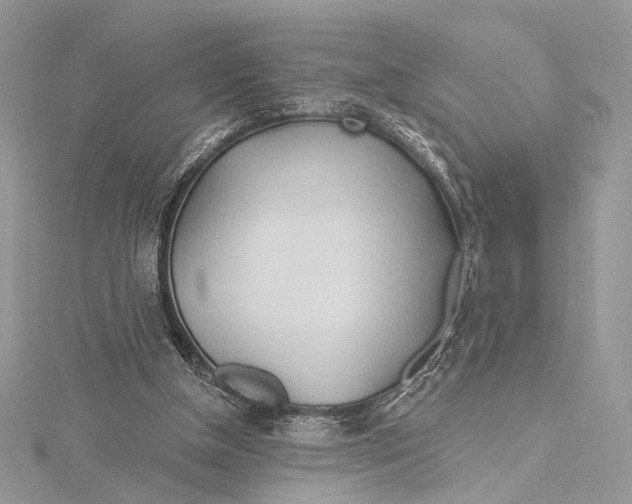 X0000115790154200912041519