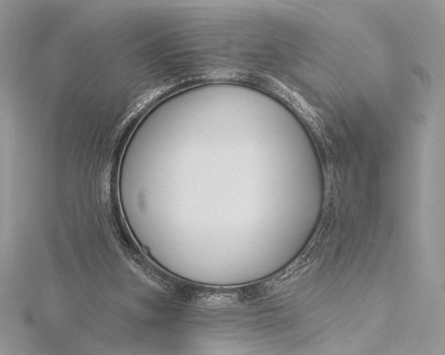 X0000115790155200912041519