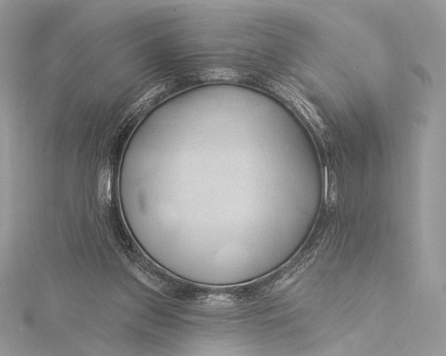 X0000115790157200912041519