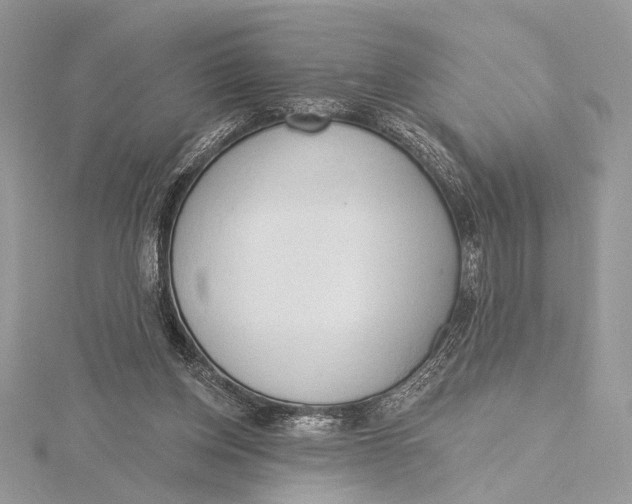 X0000115790158200912041519