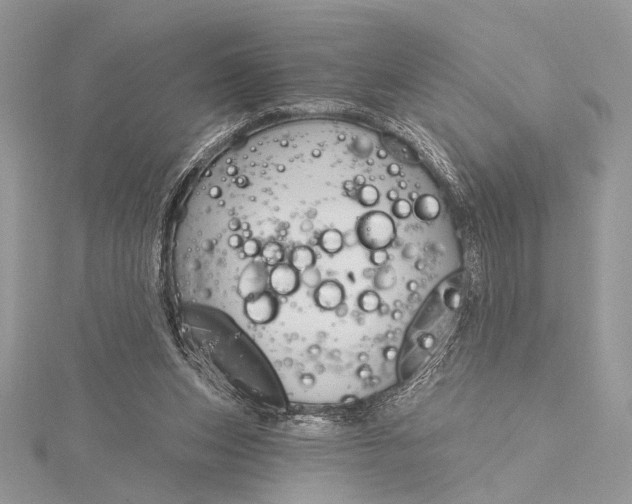 X0000115790159200912041519