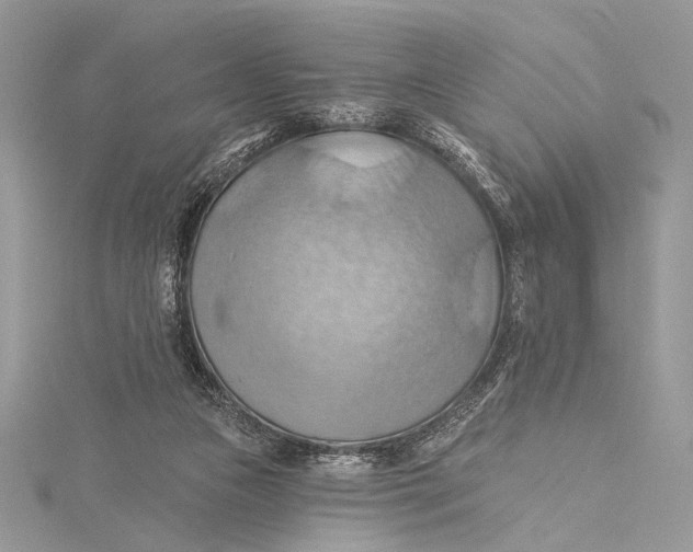 X0000115790161200912041519