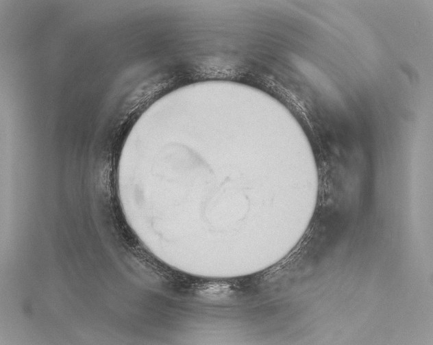 X0000115790162200912041520