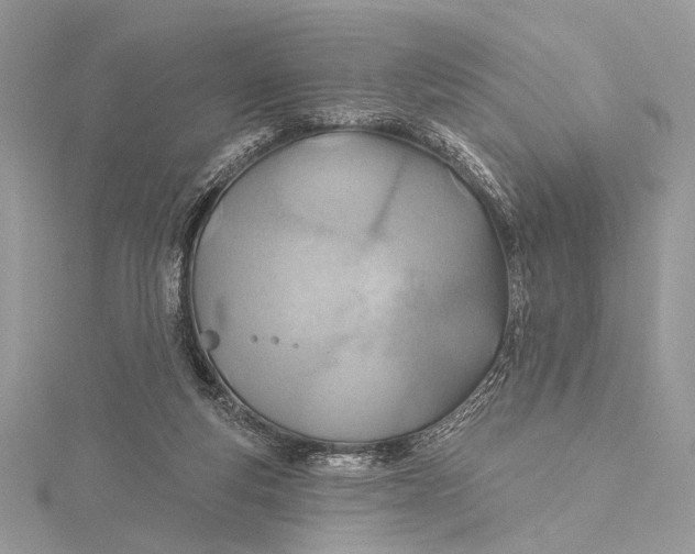 X0000115790163200912041520