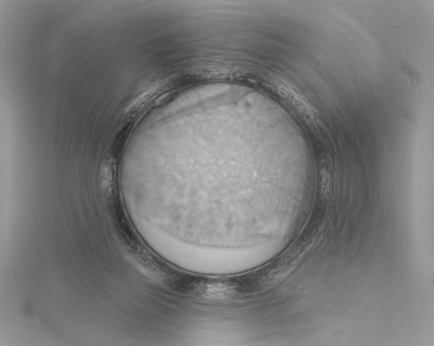 X0000115790165200912041520