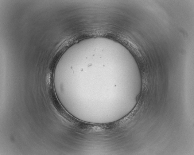 X0000115790166200912041520