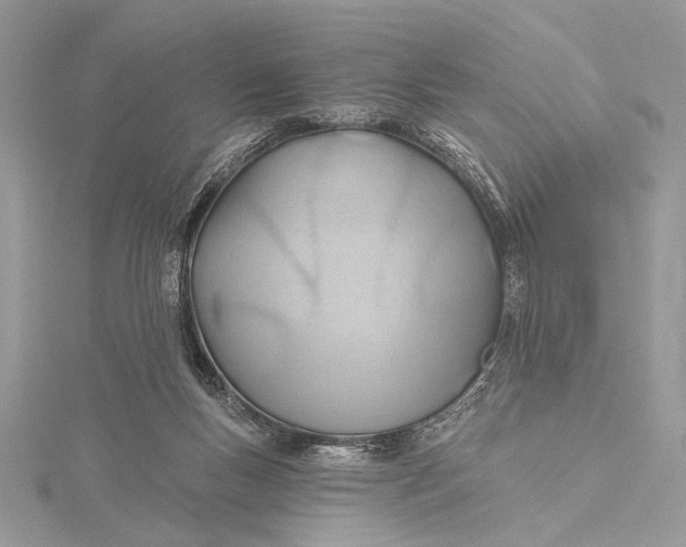 X0000115790167200912041520