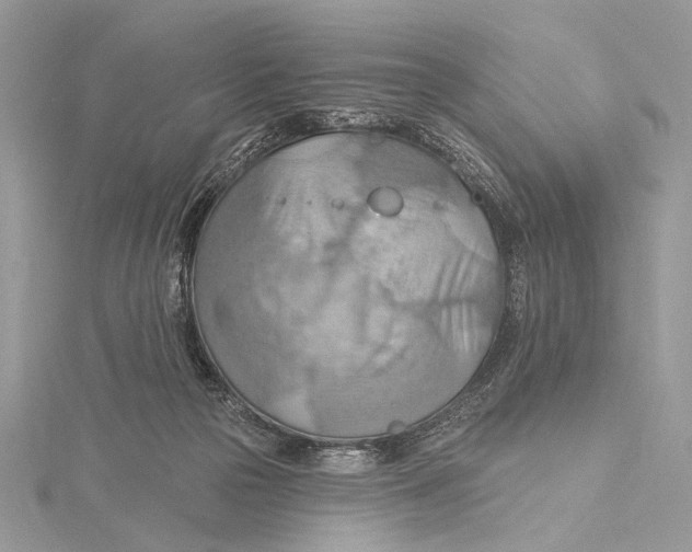 X0000115790169200912041520