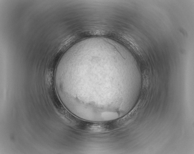 X0000115790171200912041520