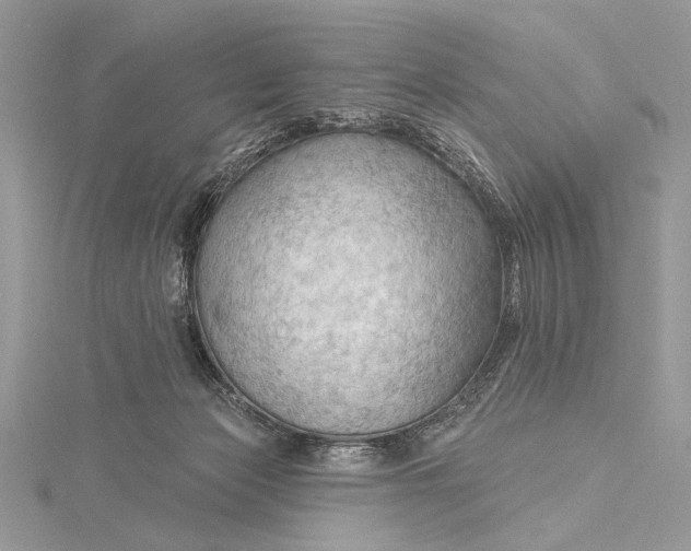 X0000115790173200912041520