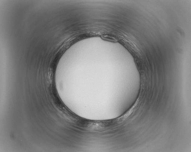 X0000115790174200912041520