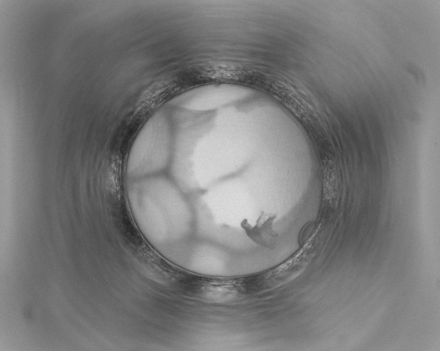 X0000115790175200912041520