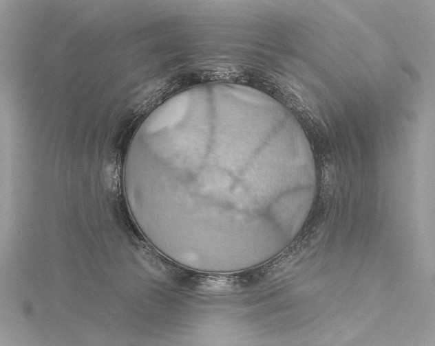 X0000115790177200912041520