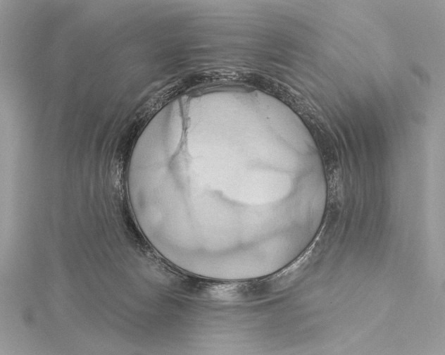 X0000115790178200912041520