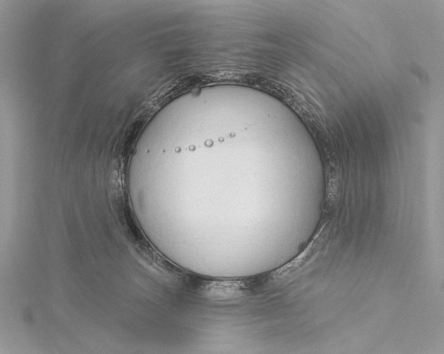 X0000115790179200912041520