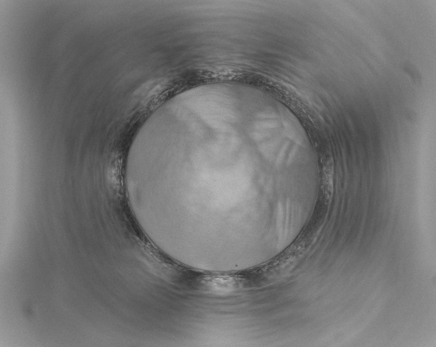 X0000115790181200912041520