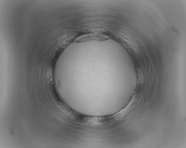 X0000115790182200912041520