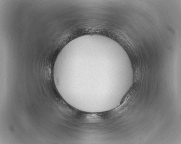 X0000115790183200912041520