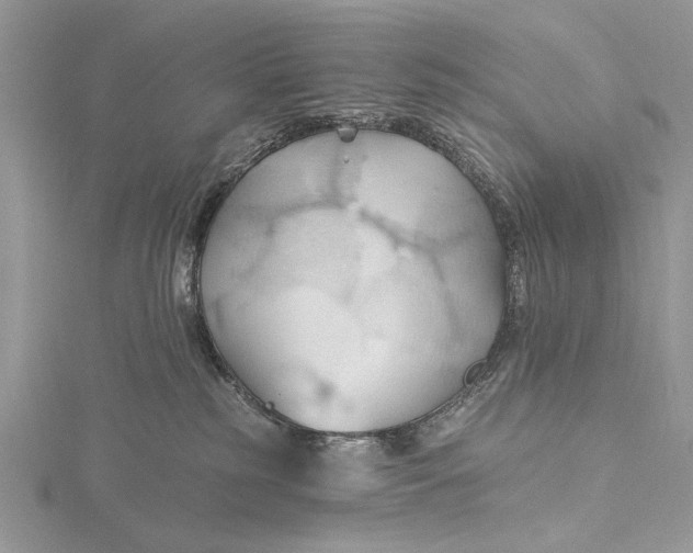 X0000115790185200912041520