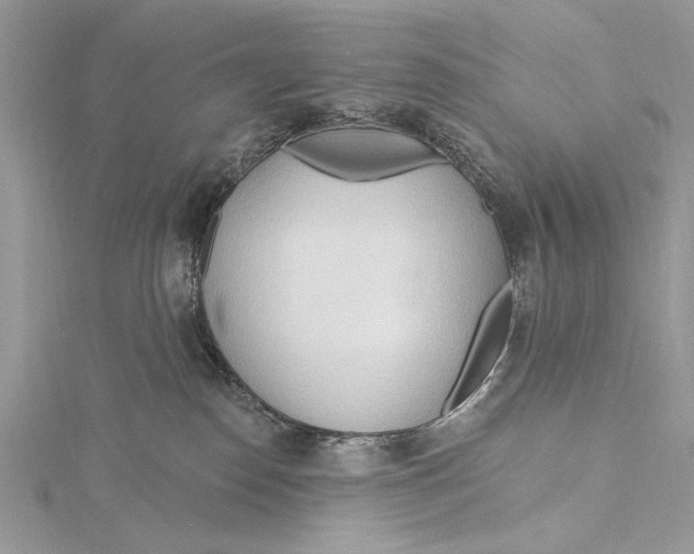 X0000115790186200912041520