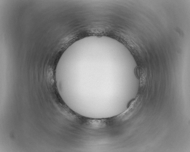 X0000115790187200912041520