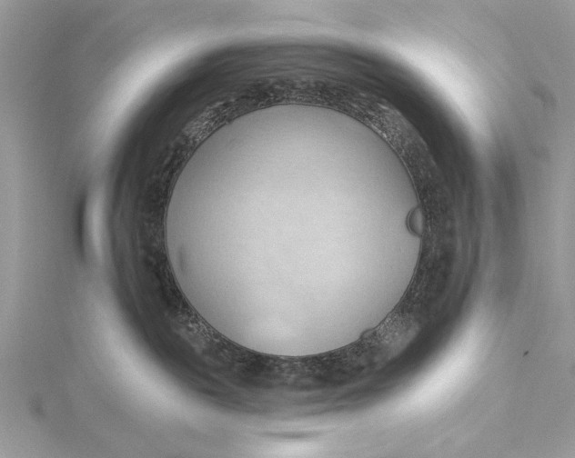 X0000115790189200912041520