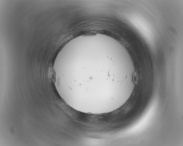 X0000115790190200912041520