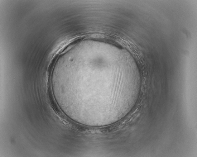 X0000115790194200912041519