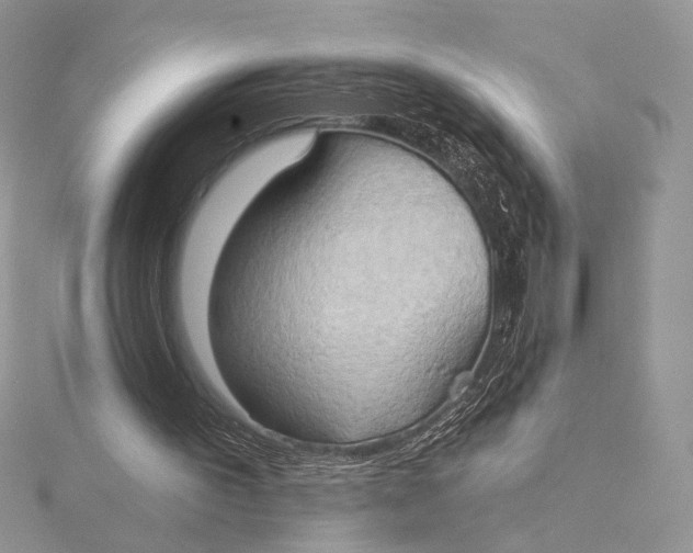 X0000115790195200912041519