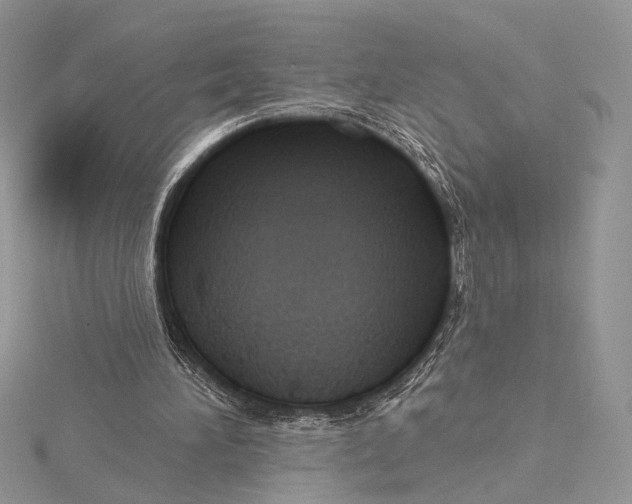 X0000115790196200912041519