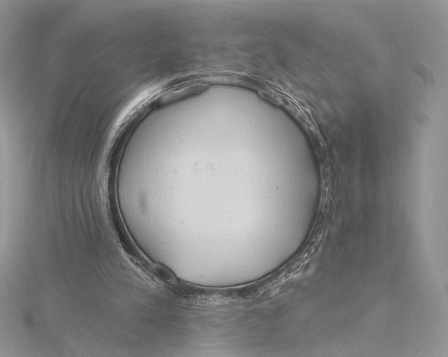 X0000115790197200912041519