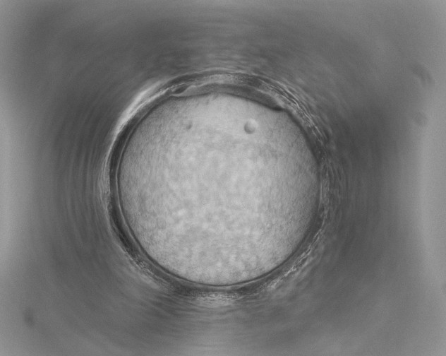 X0000115790198200912041519