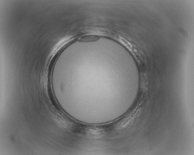 X0000115790199200912041519