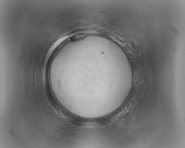 X0000115790200200912041519