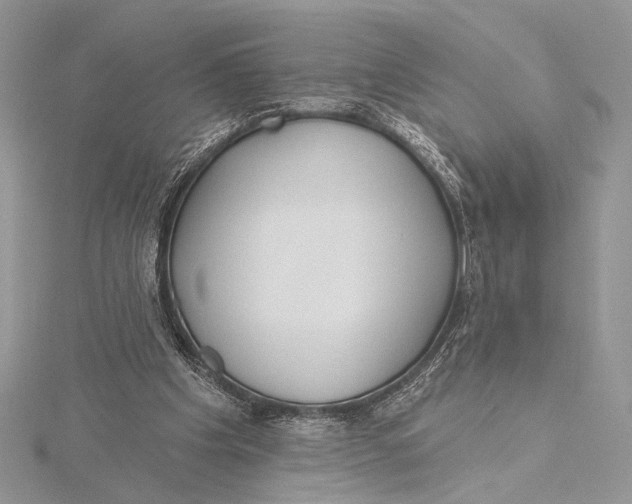 X0000115790201200912041519