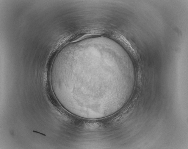 X0000115790202200912041519