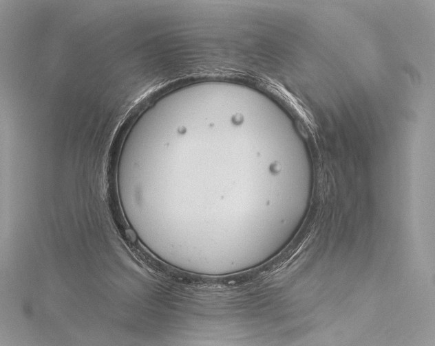 X0000115790203200912041519