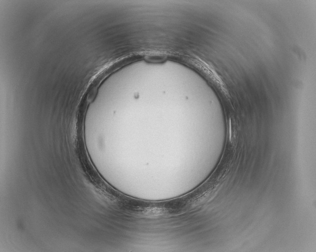 X0000115790204200912041519