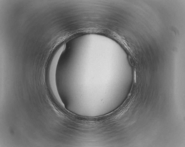 X0000115790205200912041519